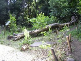 ���߿�(�����ڤդ줢������)9��γ�ư��