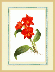 �ֹ�˼��ʪ��Ÿ