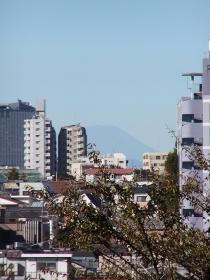 ����Τ�ٻθ���Ρ֥���������ٻΡ�