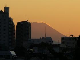 ����Τ�ٻθ��䤫��˾��֥���������ٻΡ�