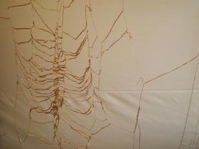 �����꡼Kingyo���Ρ��������׵�����������ʿ����������忥��