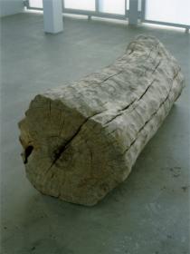 �����꡼KINGYO������׳�Τ�ؤ������� - ����