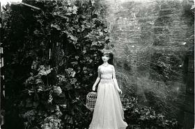 ��K to T �� �̿�Ÿ